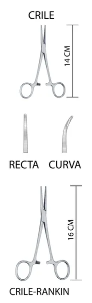 PINZA CRILE CURVA 14 CM. ESTRIADA, SIN DIENTES.