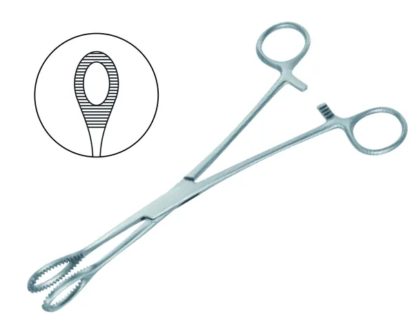 PINZA PERCY TISSUE 15 CM.