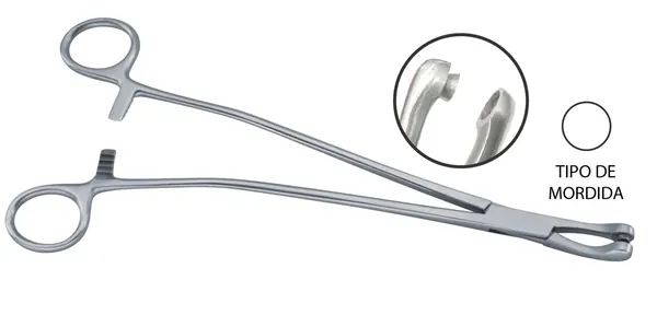 PINZA PARA BIOPSIA THOMAS GAYLOR, CORTE DE COPA, LONGITUD DE 24 CM.