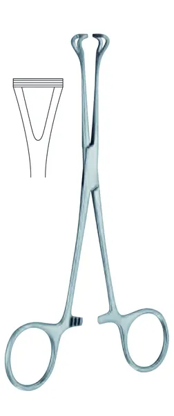 PINZA BABCOCK RECTA, FENESTRADA, CON CREMALLERA. 16 CM.