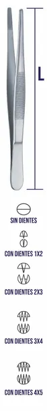 PINZA DE DISECCIÓN CON DIENTES 13 CM. 1x2.