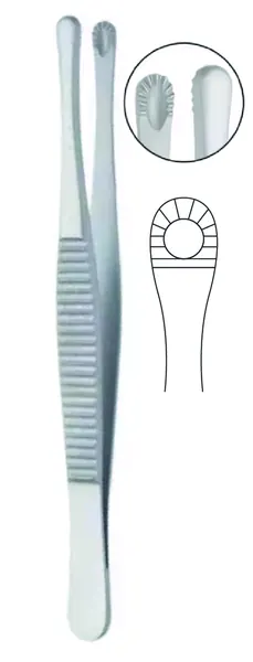 PINZA DE DISECCIÓN RUSS-MODEL CON DIENTES 15 CM DE LONGITUD.