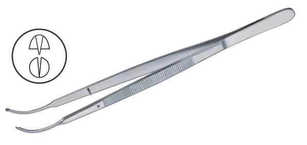PINZA DE DISECCIÓN TAYLOR CURVA CON DIENTES 1X2. 18 CM