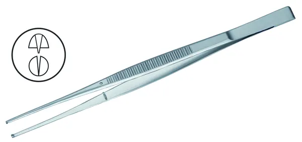 PINZA DE DISECCIÓN TAYLOR RECTA CON DIENTES 1X2. 18 CM