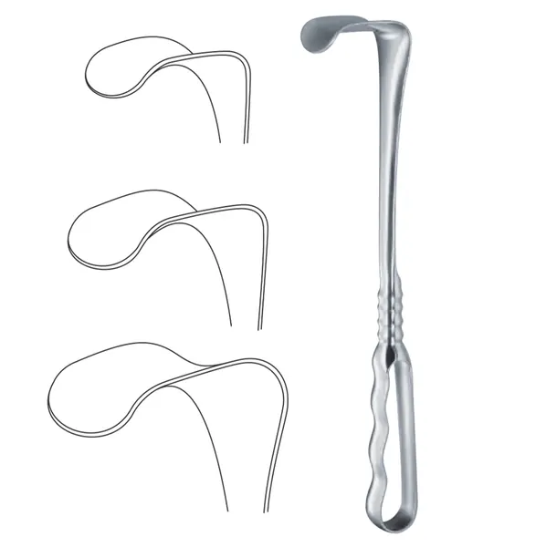 SEPARADOR RICHARDSON CHICO, VALVA DE 1.9 CM. X 5 CM., LONGITUD DE 24 CM. APROX,.