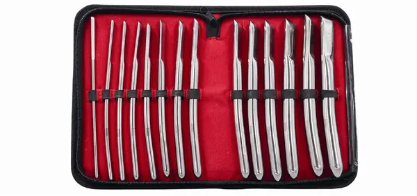 HEGAR JUEGO DE DILATADORES ACERO INOX. 14 PZS.