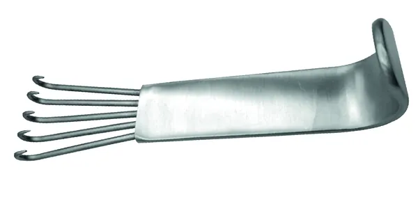 SEPARADOR CON 5 GANCHOS ANDERSON BEAR 12 CM.