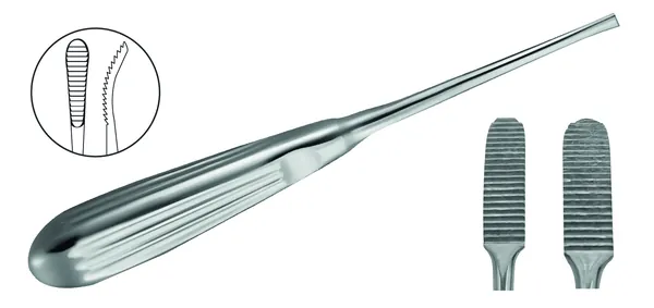 RASPA AUFRICHT GLABELLA DOWN CURVA 8 1/4" CORTANTE