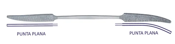 ESCOFINA TIPO PUTTI DOBLE EXTREMO PLANO CON ESTRIAS CRUZADAS Y FINAS. 27 CM DE LONGITUD.