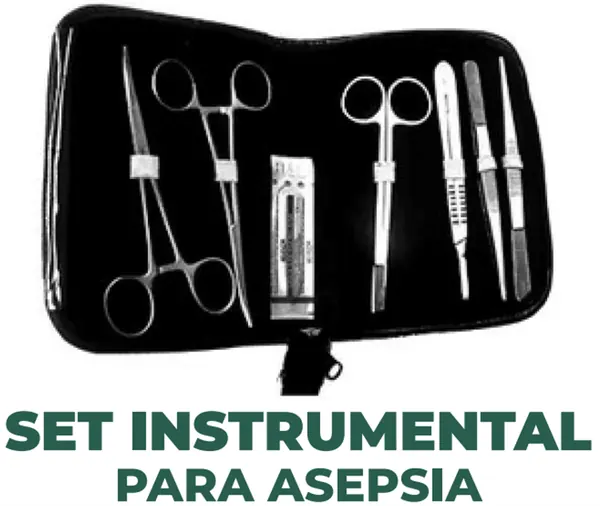 SET INSTRUMENTAL DEL BIENESTAR PARA CURACIÓN 12 PIEZAS