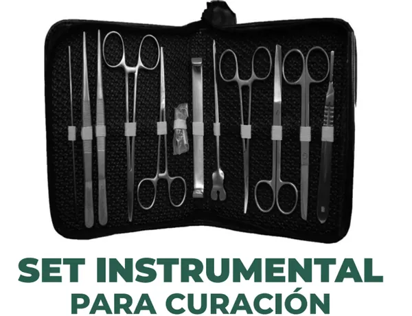 SET INSTRUMENTAL DEL BIENESTAR PARA CURACIÓN 12 PIEZAS