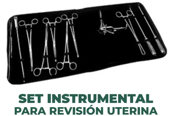 SET INSTRUMENTAL DEL BIENESTAR PARA REVISIÓN UTERINA 12 PIEZAS