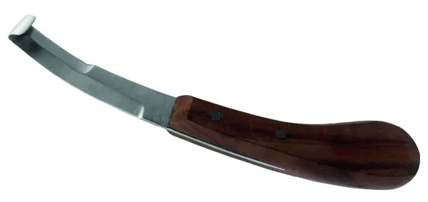 CUCHILLO VETERINARIO PARA CASCOS, 20 CM.