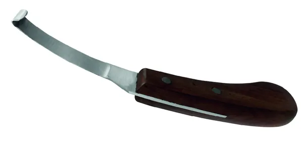 CUCHILLO VETERINARIO PARA CASCOS, MANO DERECHA, ERECTOECHO, 19 CM.